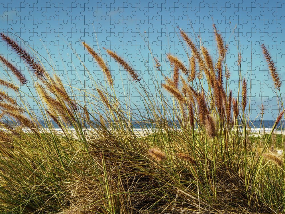 Beach Jigsaw Puzzle featuring the photograph Ocean Blvd by Bill Chizek