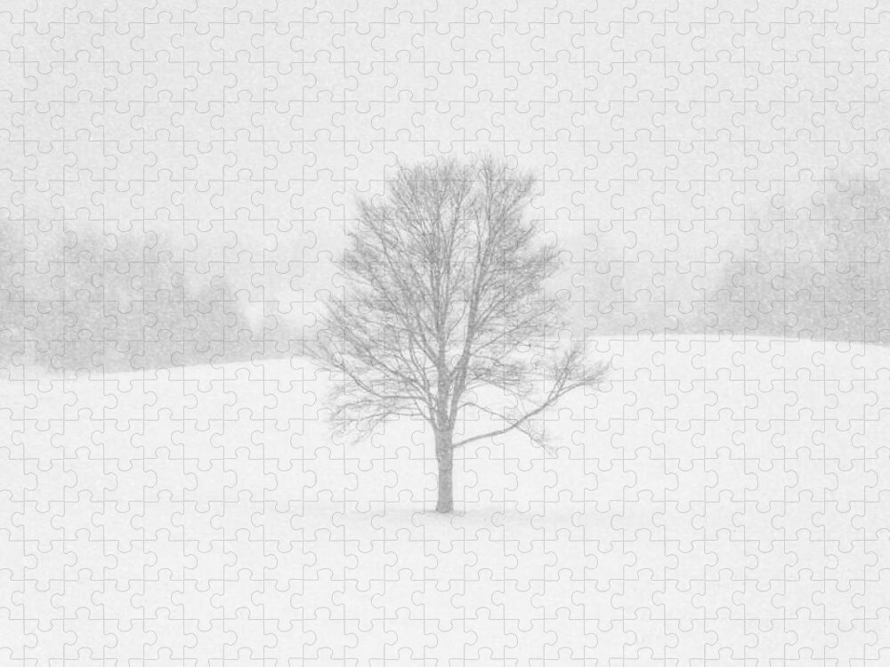 Hartville Jigsaw Puzzle featuring the photograph Ohio Winter Whiteout 1 by Matt Hammerstein