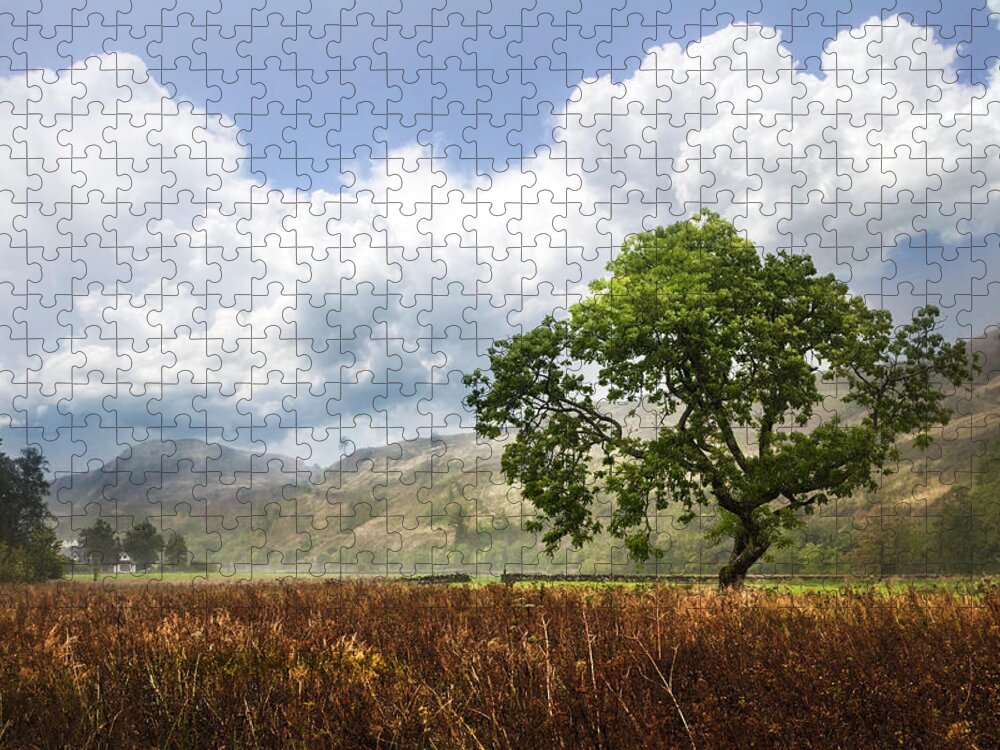 Fall Jigsaw Puzzle featuring the photograph Old Scottish Farmlands under the Clouds by Debra and Dave Vanderlaan