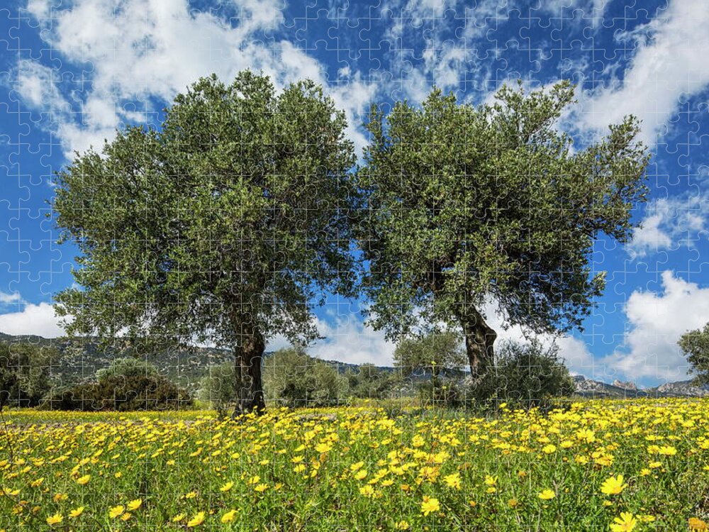 Estock Jigsaw Puzzle featuring the digital art Olive Trees, Near Kantara, Cyprus by Reinhard Schmid