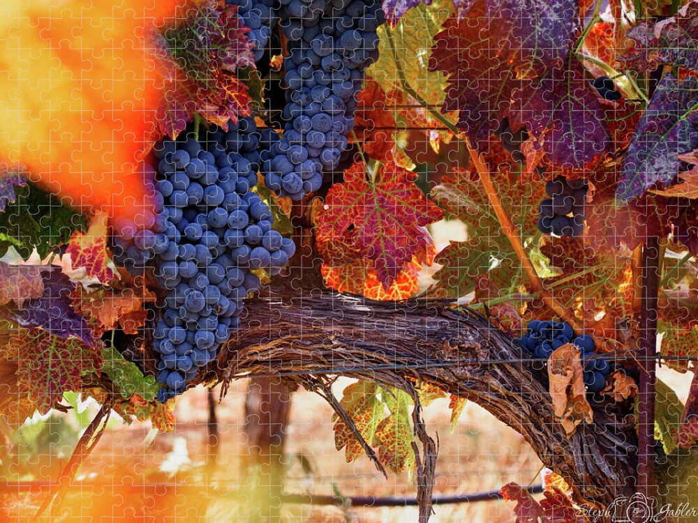 Vine Jigsaw Puzzle featuring the photograph On the Vine by Steph Gabler