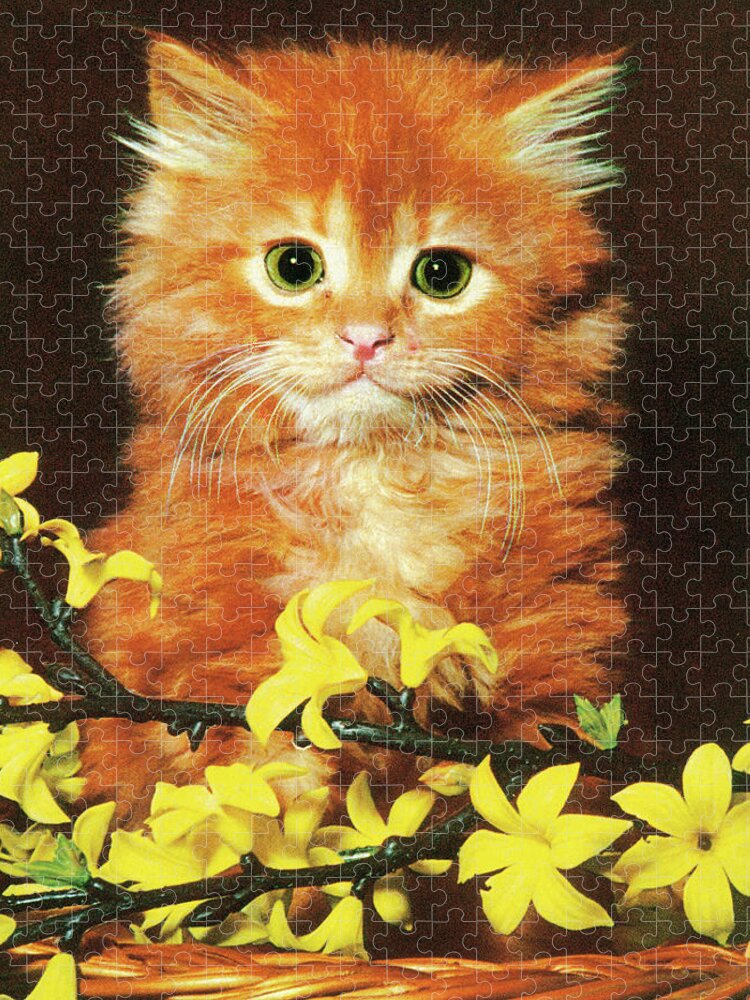 Animal Jigsaw Puzzle featuring the drawing Orange Kitten with Flowers by CSA Images