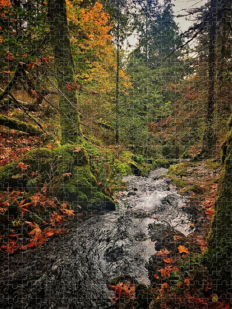 Autumn Jigsaw Puzzle featuring the photograph Orcas Island Stream by Jerry Abbott