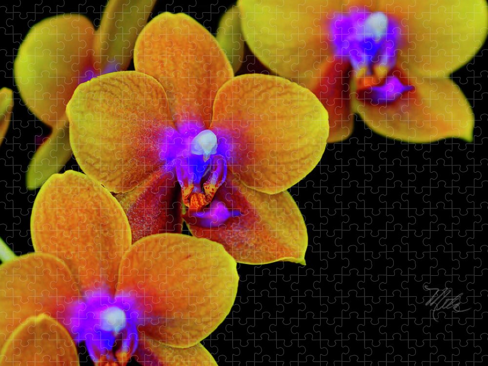 Orchid Jigsaw Puzzle featuring the photograph Orchid Study Ten by Meta Gatschenberger