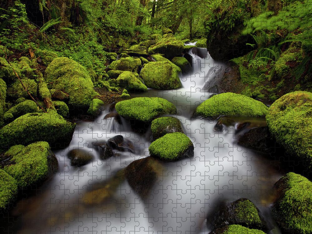 Scenics Jigsaw Puzzle featuring the photograph Oregon Moss by Darren White Photography