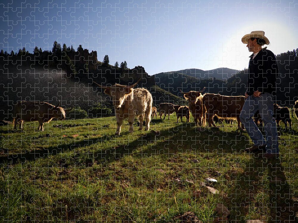 People Jigsaw Puzzle featuring the photograph Organic Beef Farmer Rancher by Seanfboggs