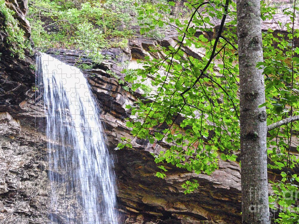 Tennessee Jigsaw Puzzle featuring the photograph Ozone Falls 3 by Phil Perkins