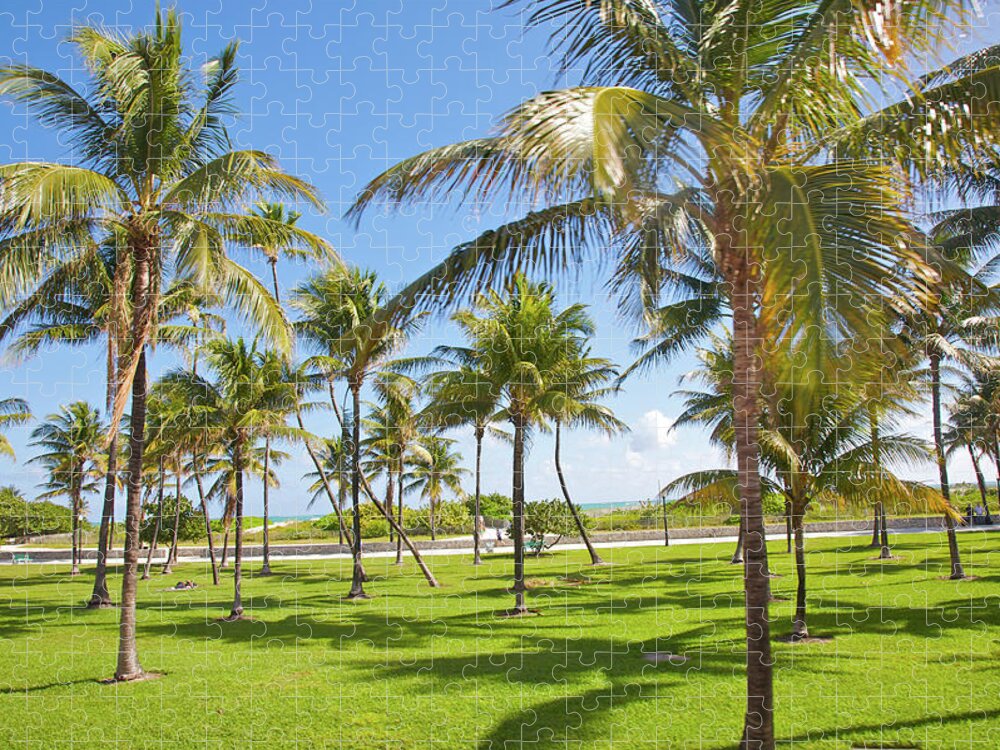 Tranquility Jigsaw Puzzle featuring the photograph Palms, Green Lawn And Blue Sky In Resort by Barry Winiker