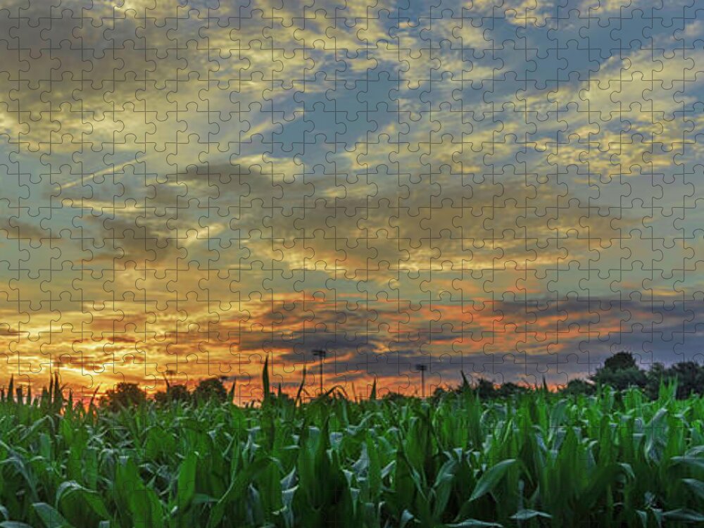 Sunset Jigsaw Puzzle featuring the photograph Panoramic Cornfield Sunset by Jason Fink