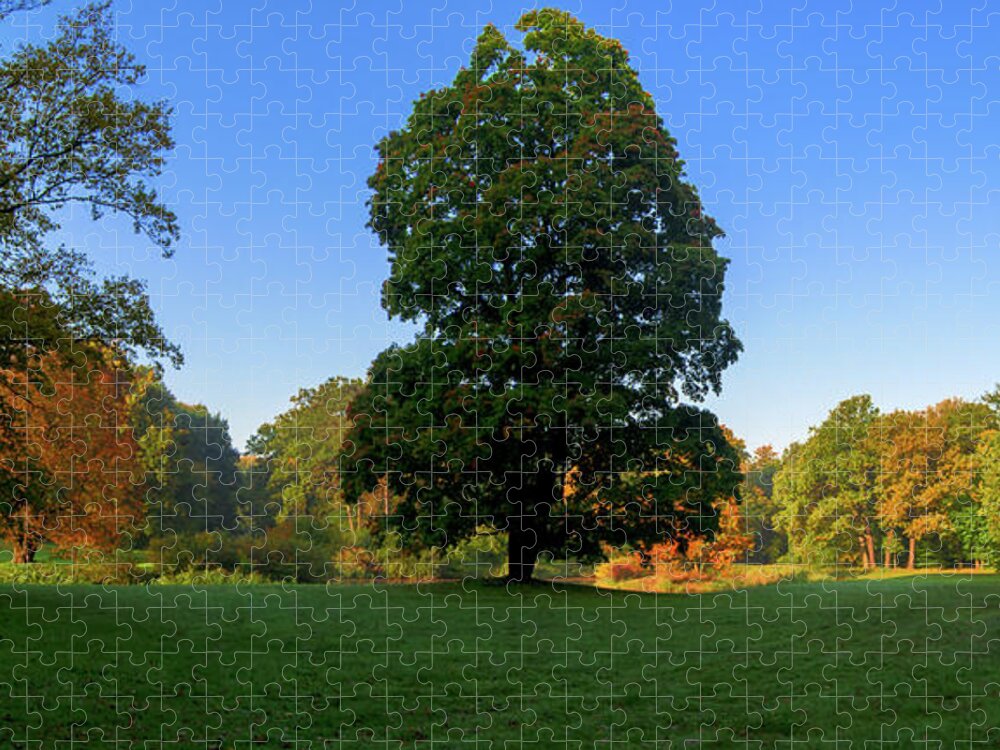 Landscape Park Jigsaw Puzzle featuring the photograph Park autumn landscape by Sun Travels