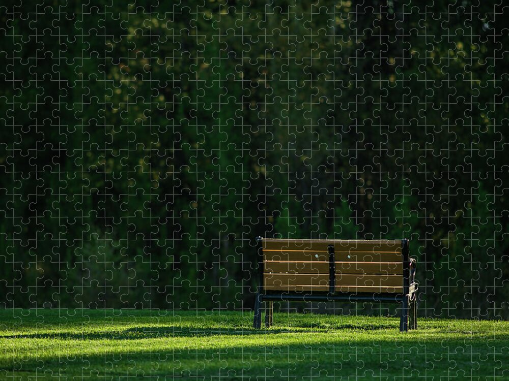 Bench Jigsaw Puzzle featuring the photograph Park bench at sunrise by Julieta Belmont