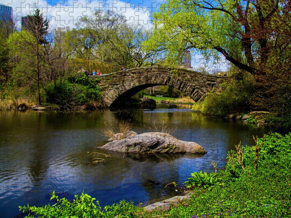 New York Jigsaw Puzzle featuring the photograph Park bridge2 by Stuart Manning