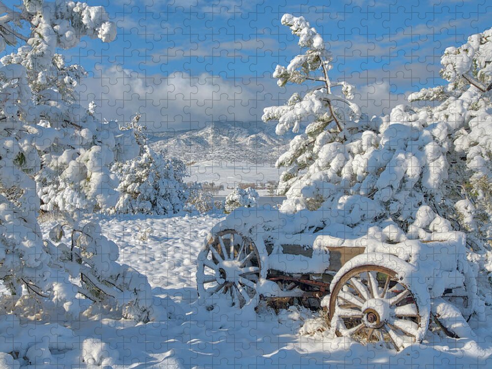 Snow Jigsaw Puzzle featuring the photograph Parked for the Winter by Darren White