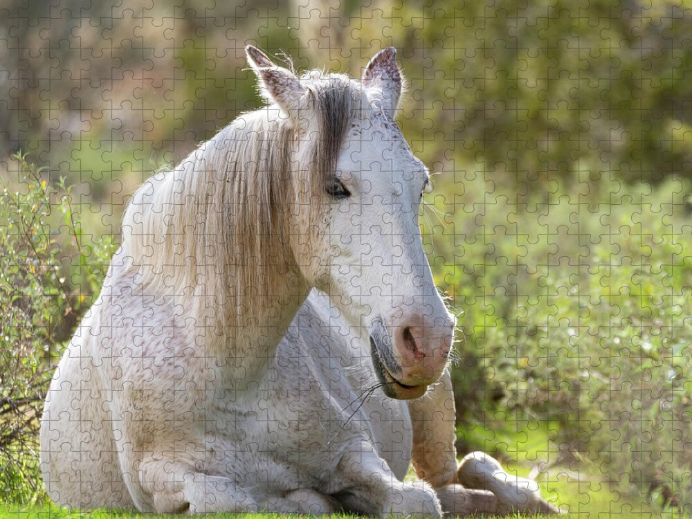 Wild Horses Jigsaw Puzzle featuring the photograph Peaceful by Mary Hone