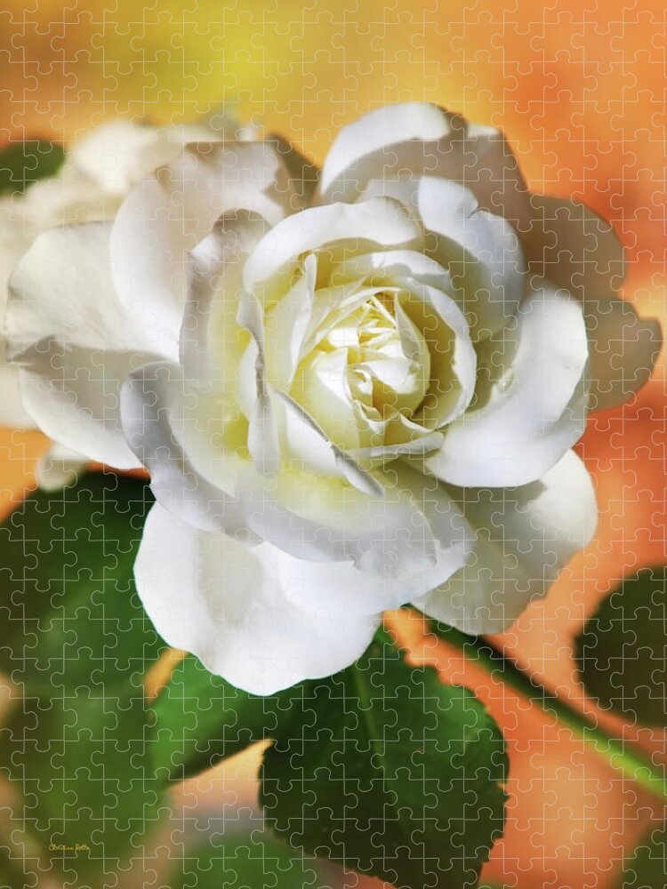 Flower Jigsaw Puzzle featuring the photograph Romantic Rose by Christina Rollo