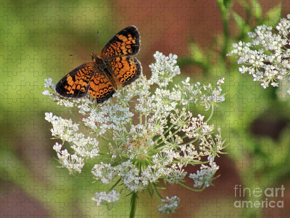 Pearl Crescent Butterfly Jigsaw Puzzle featuring the photograph Pearl on Lace by Karen Adams