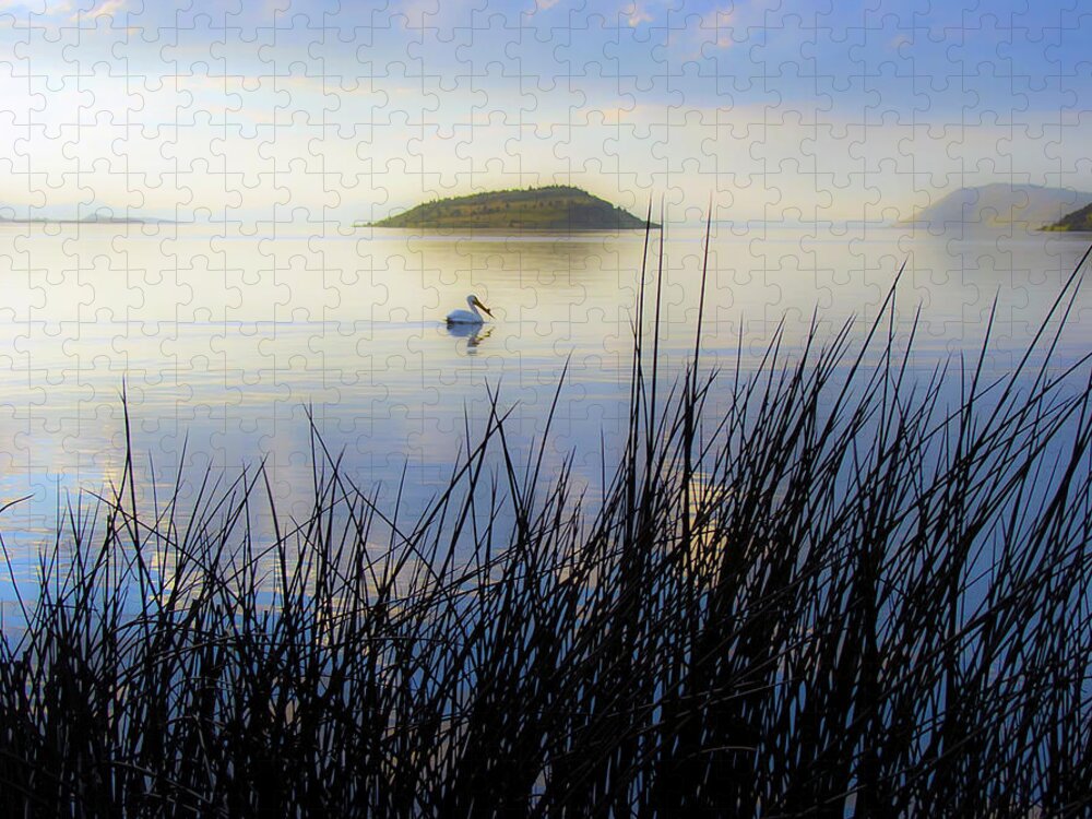 Landscape Jigsaw Puzzle featuring the photograph Pelican on Klamath Lake by Christopher Johnson