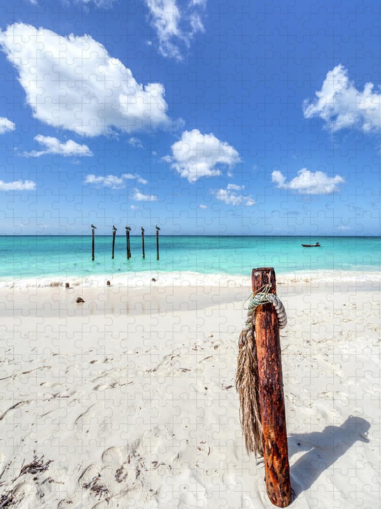 Aruba Jigsaw Puzzle featuring the photograph Pelicans Perch by David Letts