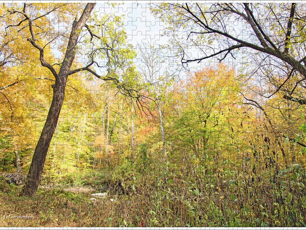 Philadelphia Jigsaw Puzzle featuring the photograph Pennypack Woods, Philadelphia Landmark, Autumn by A Macarthur Gurmankin