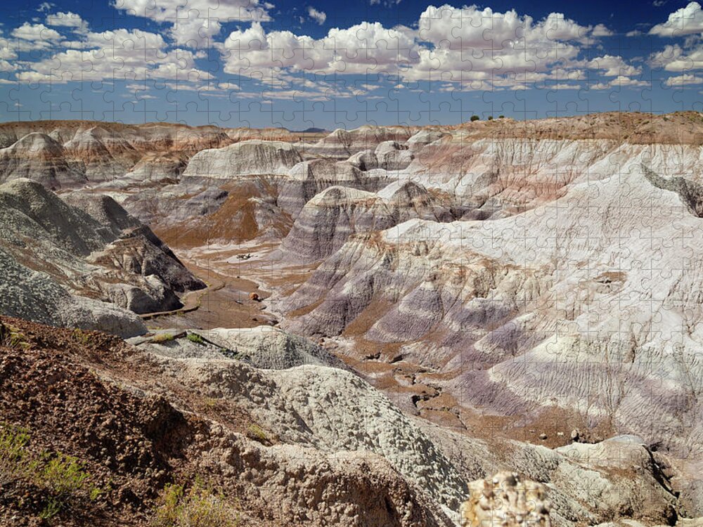 Painted Desert Jigsaw Puzzle featuring the photograph Petrified Forest 25 by Ricky Barnard