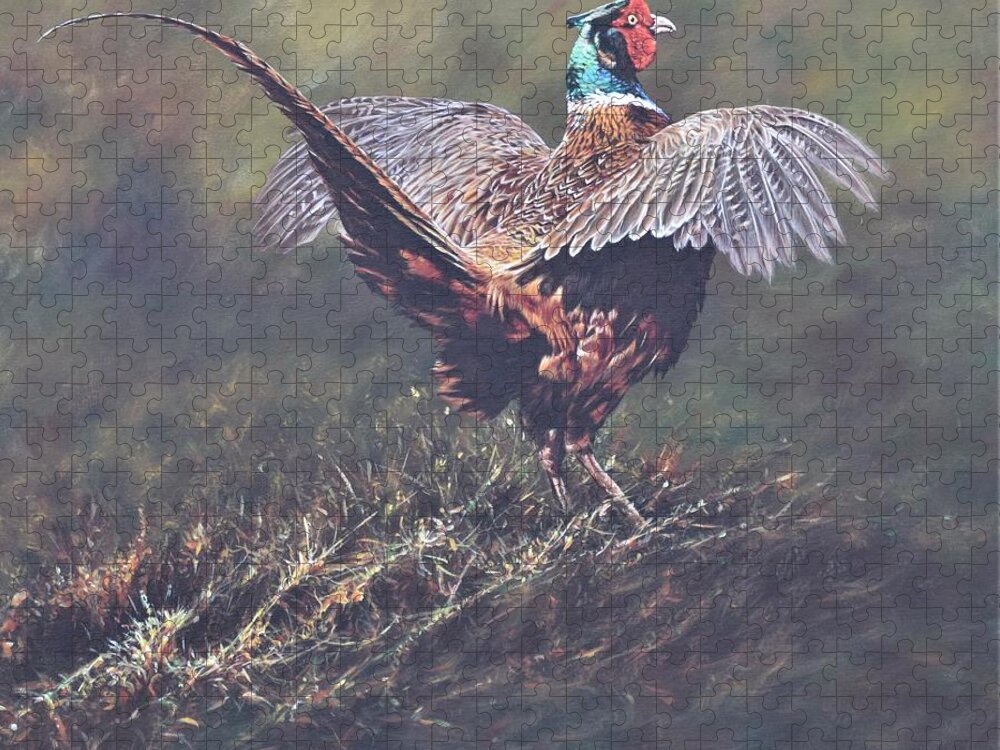Wildlife Paintings Jigsaw Puzzle featuring the painting Pheasant Displaying by Alan M Hunt