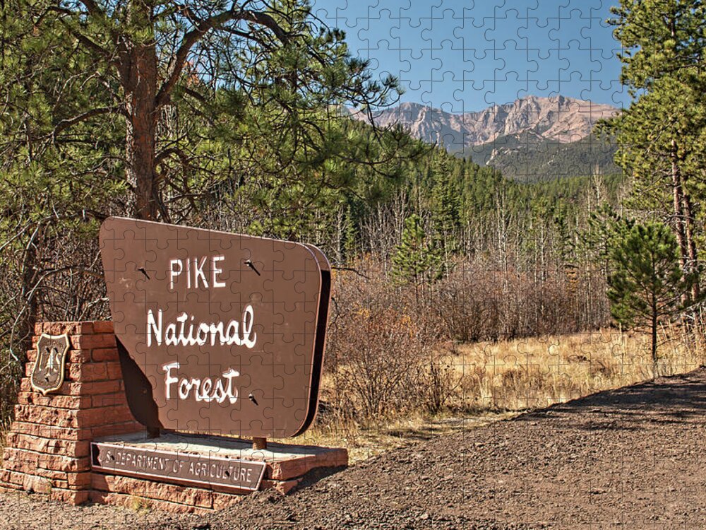 Pike National Forest Jigsaw Puzzle featuring the photograph Pike National Forest by Kristia Adams
