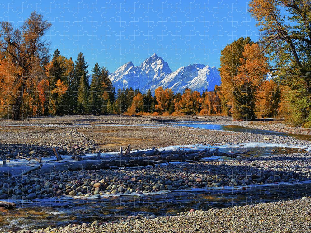 Tetons Jigsaw Puzzle featuring the photograph Pilgrim Creek Autumn Splendor by Greg Norrell