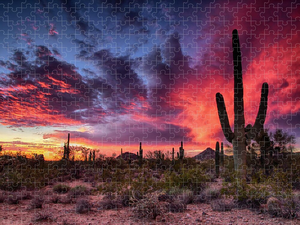 Saguaro Sunset Jigsaw Puzzle featuring the photograph Pink Fiery Sunset Skies by Saija Lehtonen