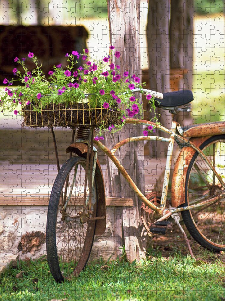 Ip_12354343 Jigsaw Puzzle featuring the photograph Pink Petunias In Basket Of Rusty Bicycle Leaning Against Veranda by Brian Harrison