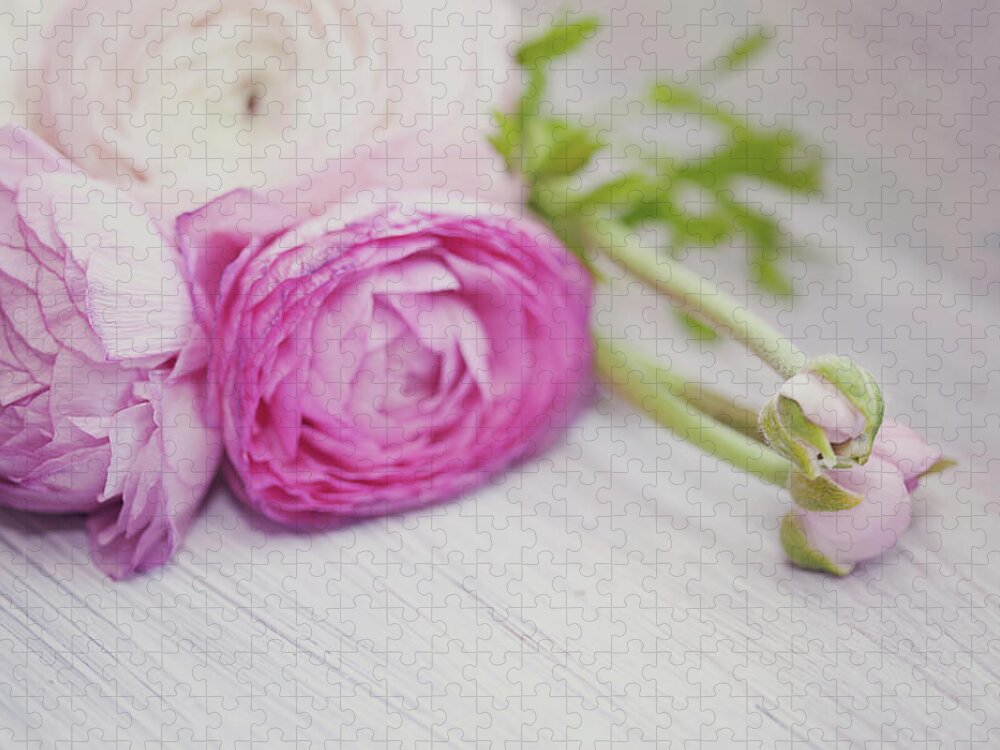 Shelf Jigsaw Puzzle featuring the photograph Pink Ranunculus Flowers On White Wooden by Isabelle Lafrance Photography