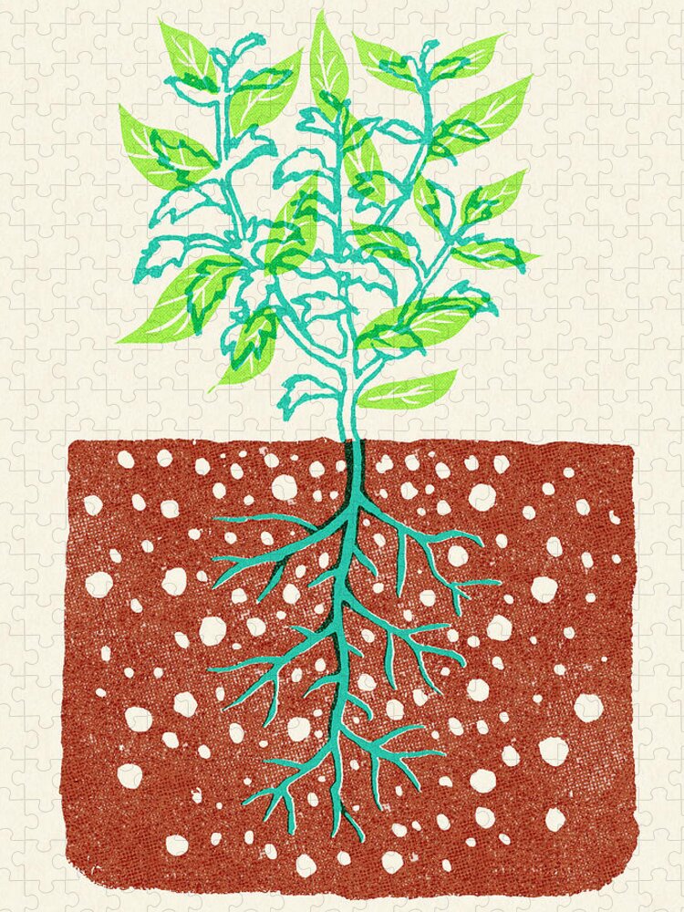 Bush Jigsaw Puzzle featuring the drawing Plant with Roots in Soil by CSA Images