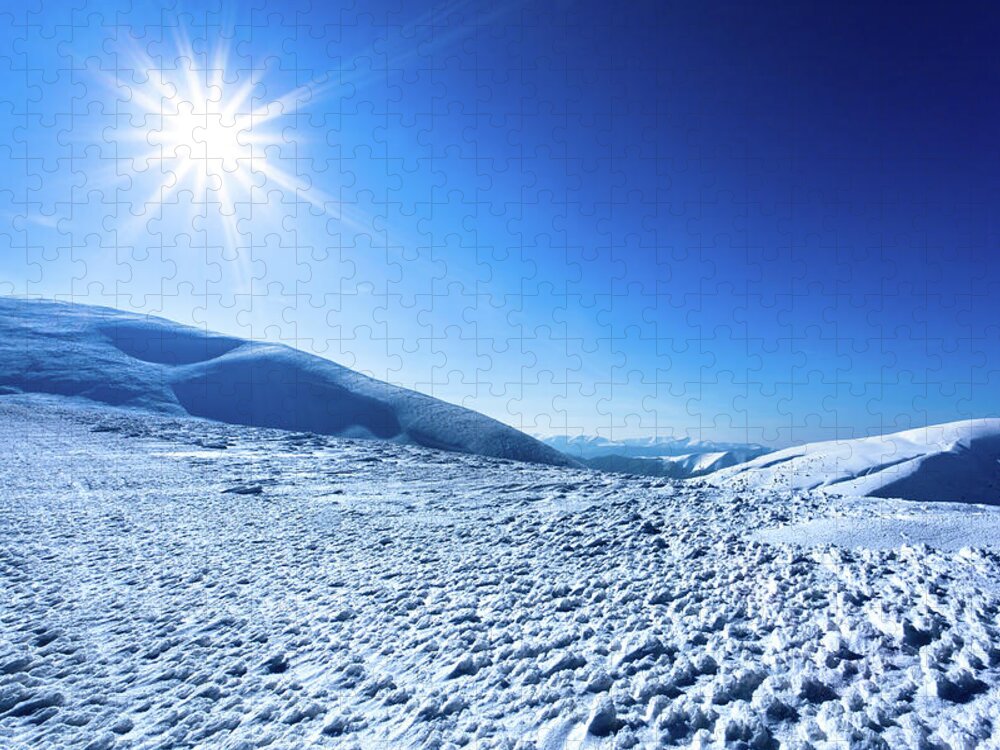 Cool Attitude Jigsaw Puzzle featuring the photograph Polar Sunshine by Yourapechkin