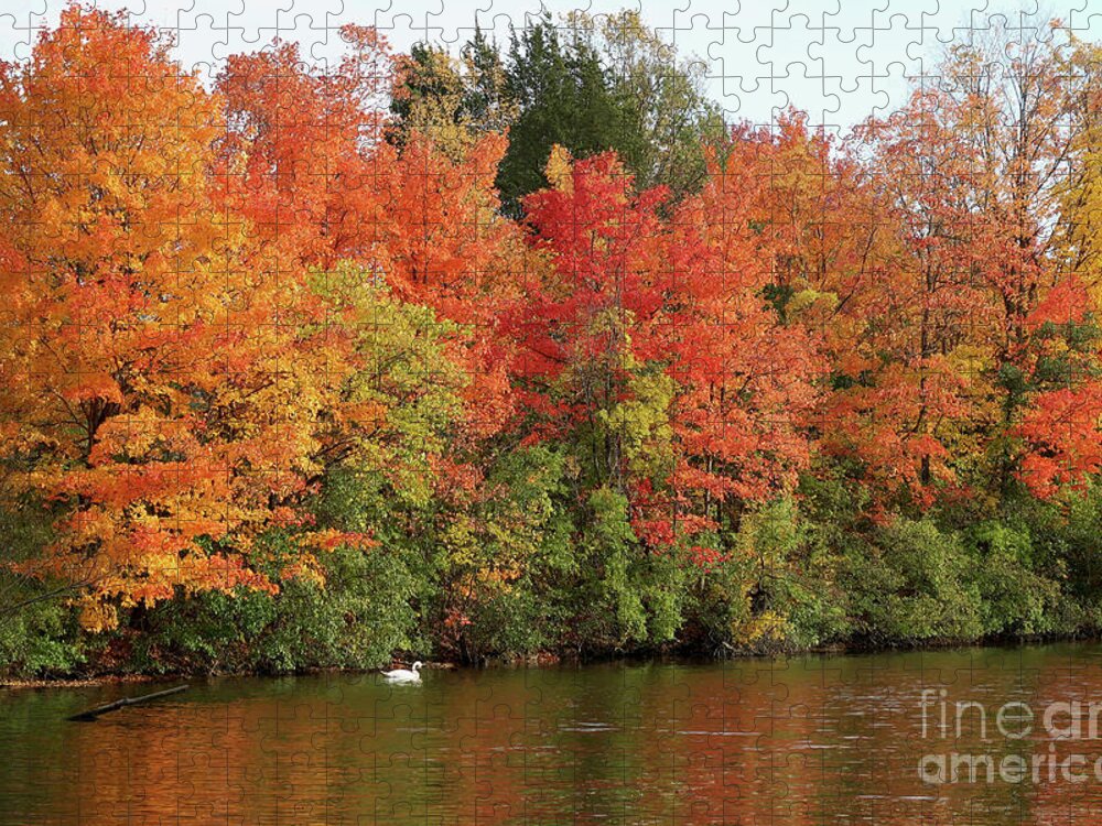 Autumn Jigsaw Puzzle featuring the photograph Pondside Glory by Ann Horn