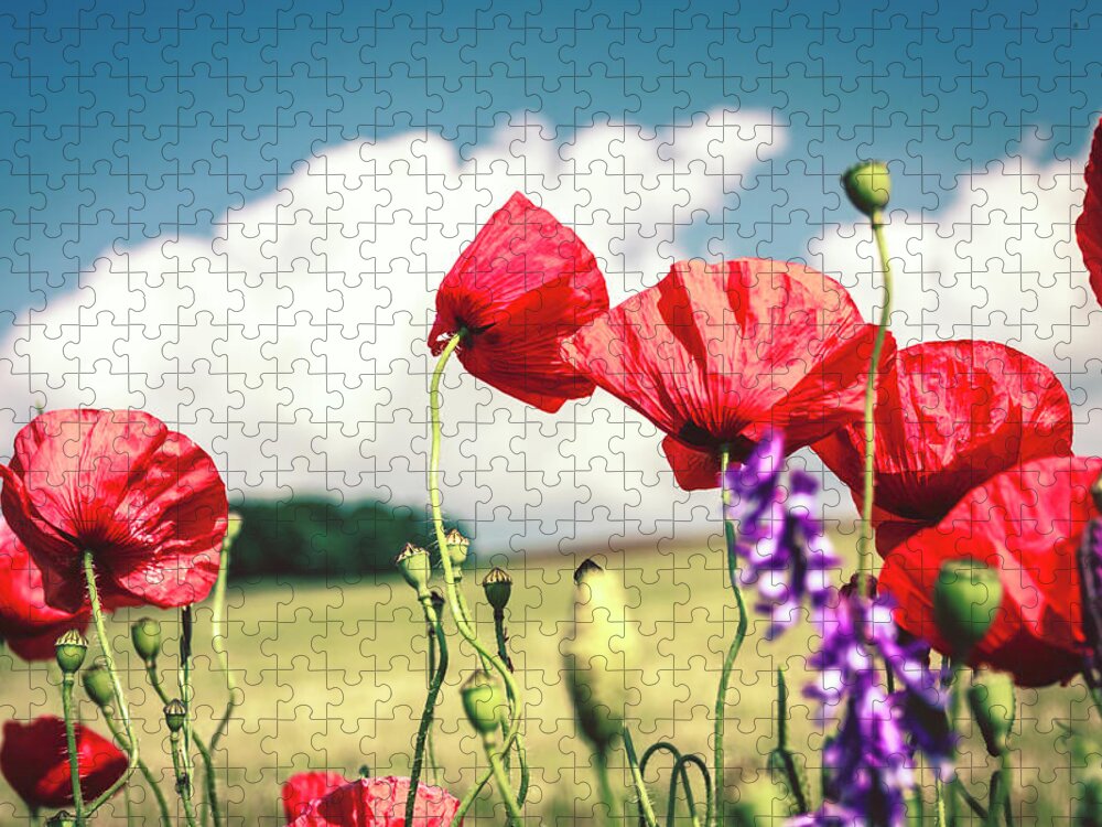 Bud Jigsaw Puzzle featuring the photograph Poppy Bokeh Fields by Sascha Kilmer