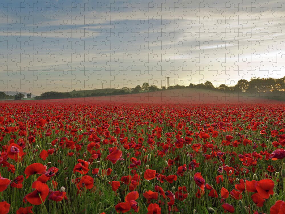 Scenics Jigsaw Puzzle featuring the photograph Poppy Field by David Dean Photography