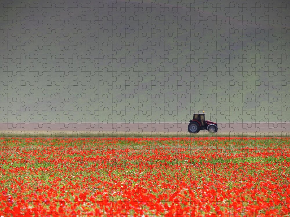 Flowerbed Jigsaw Puzzle featuring the photograph Poppy Flower Field With Tractor by Federico Gentili