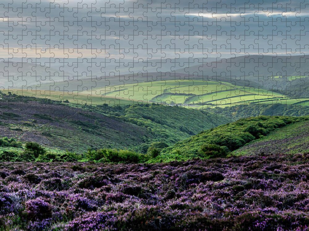 Scenics Jigsaw Puzzle featuring the photograph Porlock Common Sunrise by Bob Small Photography