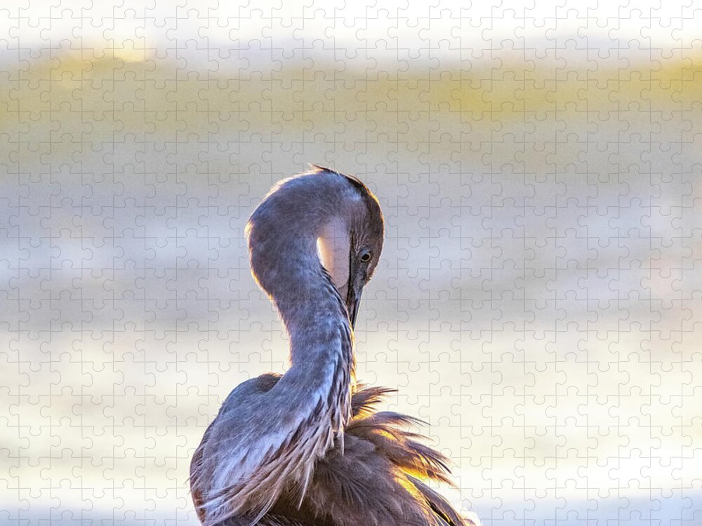 Heron Jigsaw Puzzle featuring the photograph Preening Great Blue Heron by Mary Ann Artz