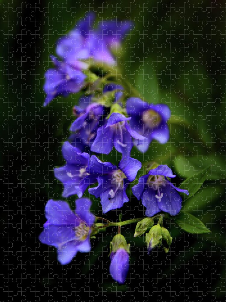 Flowers Jigsaw Puzzle featuring the photograph Purple Rain by Jessica Jenney