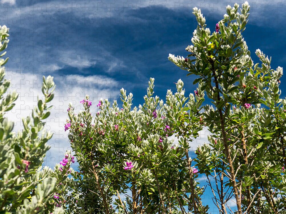 Purple Sage Jigsaw Puzzle featuring the photograph Purple Sage and Sky by Ivars Vilums