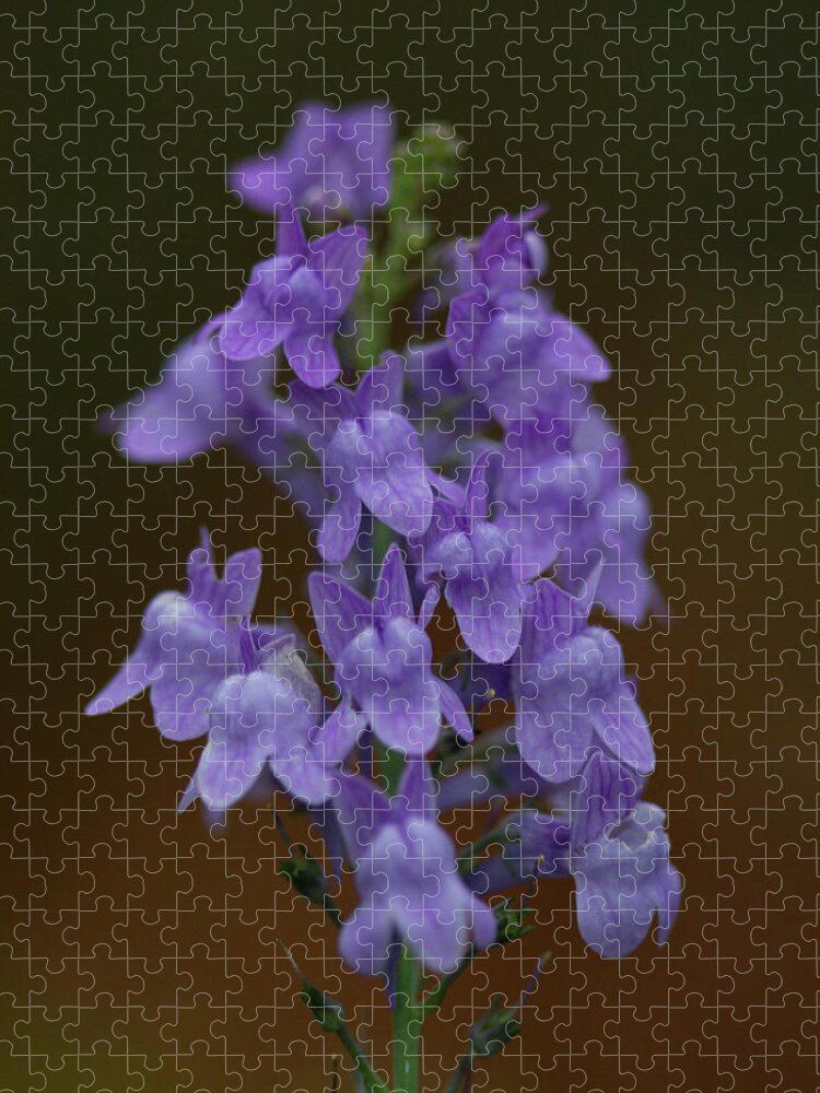 Purple Jigsaw Puzzle featuring the photograph Purple Toadflax Flowers by Dr T J Martin