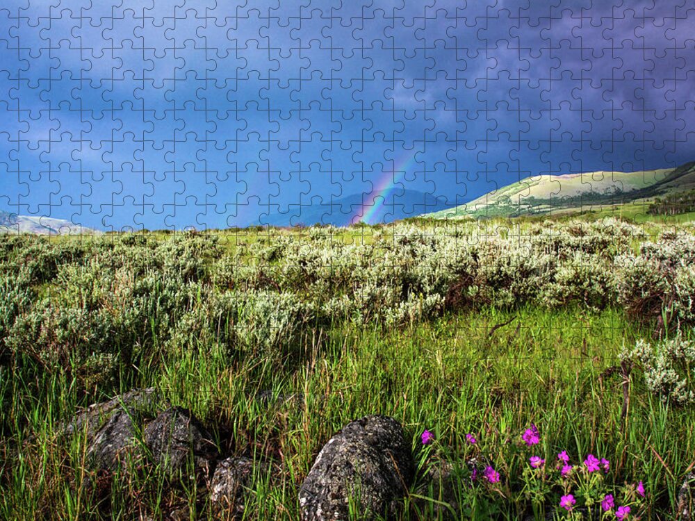 Storm Jigsaw Puzzle featuring the photograph Rainbow over Tom Miner Basin by Douglas Wielfaert
