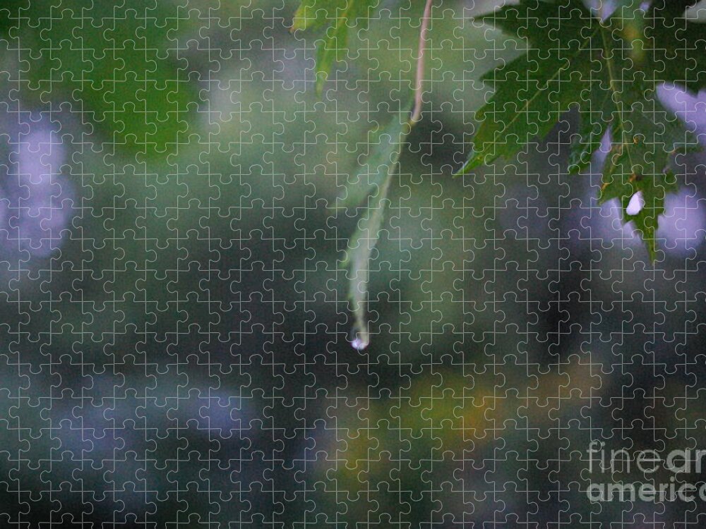 Nature Jigsaw Puzzle featuring the photograph Raining by Frank J Casella