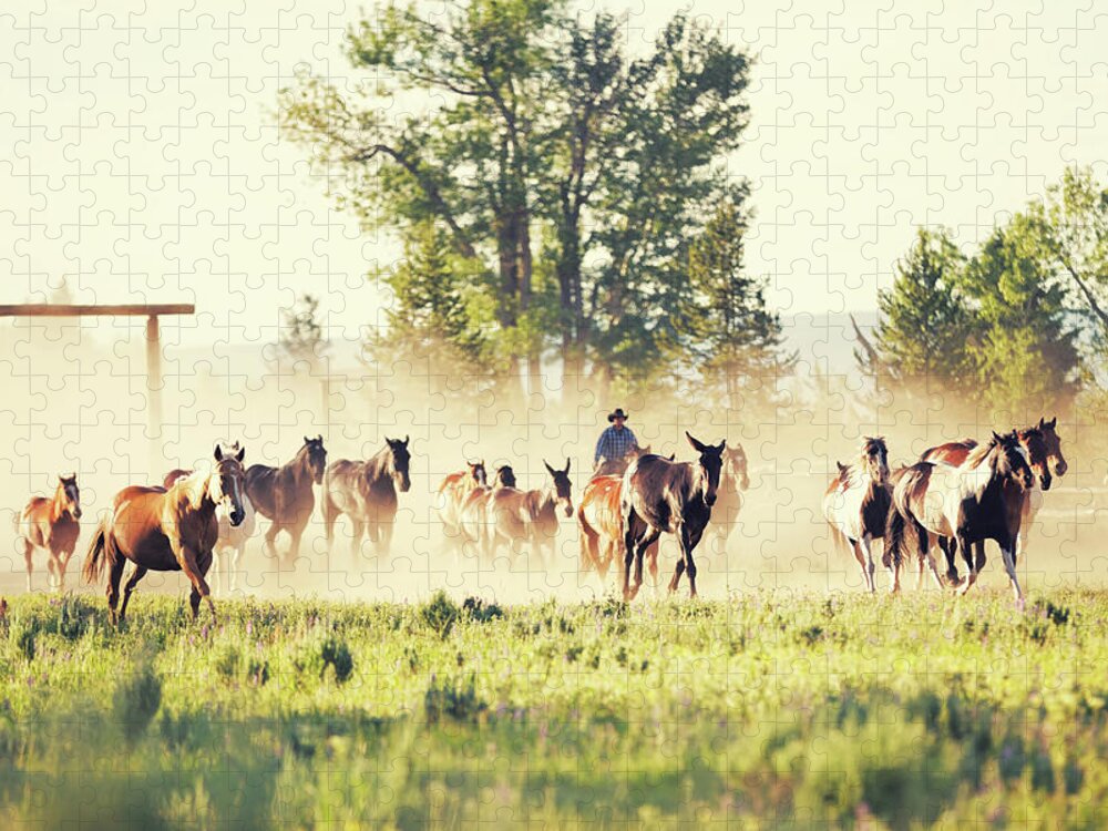 Horse Jigsaw Puzzle featuring the photograph Rancher Driving Horses In On Montana by Steve Debenport