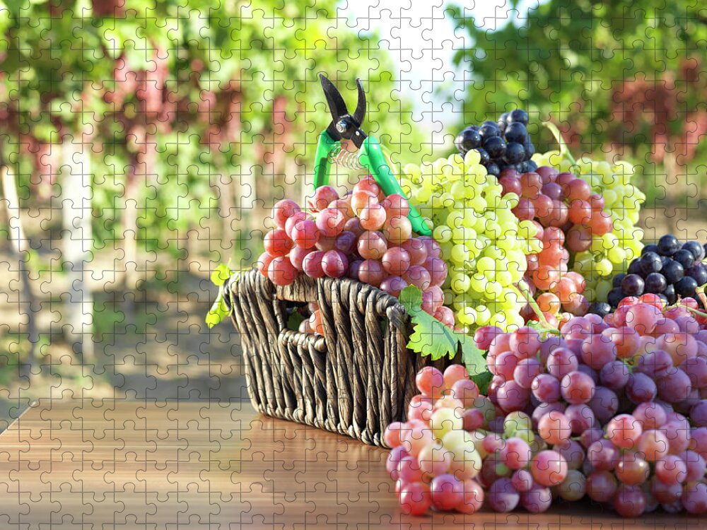 Saturated Color Jigsaw Puzzle featuring the photograph Red Grape And Vineyard by Fatihhoca