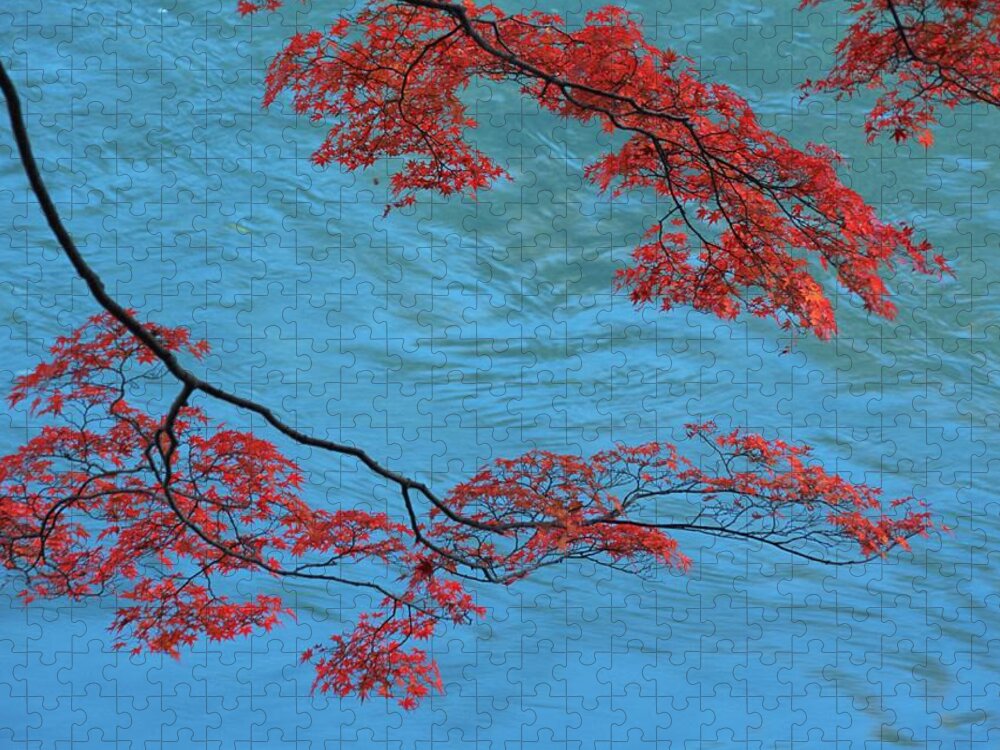 Water's Edge Jigsaw Puzzle featuring the photograph Red Leaves Of Maple Tree In Water by Imagenavi