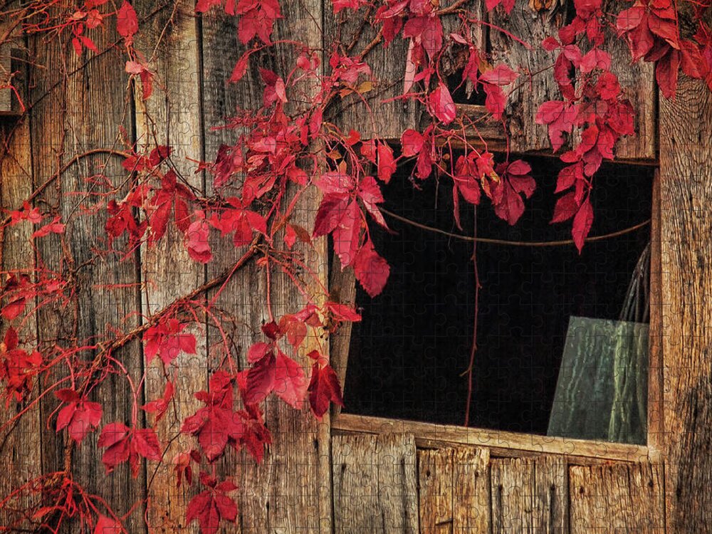 Built Structure Jigsaw Puzzle featuring the photograph Red Leaves On Barn Window by Melinda Moore