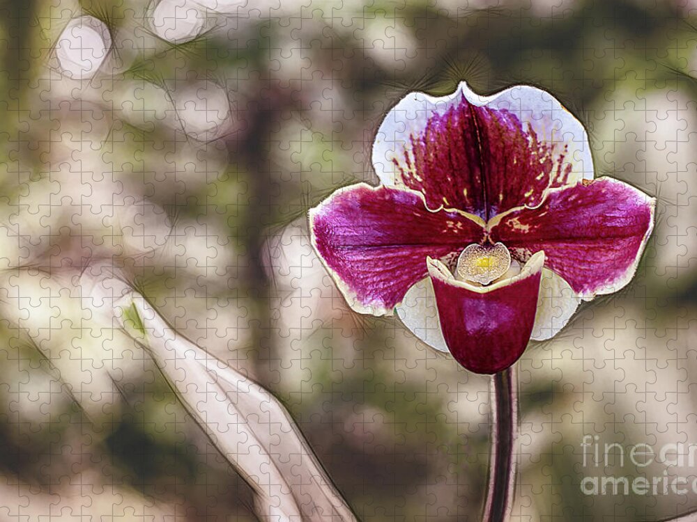 Digitally Jigsaw Puzzle featuring the photograph Red Orchid with Bokeh by Roslyn Wilkins