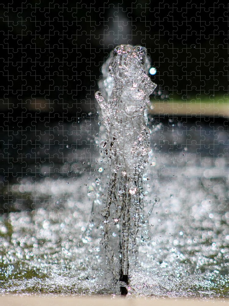 Garden Waters Jigsaw Puzzle featuring the photograph Refreshing - Water in Motion by Colleen Cornelius