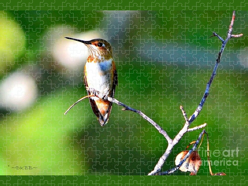 Hummingbird Jigsaw Puzzle featuring the photograph Resting in the Sun by Dorrene BrownButterfield